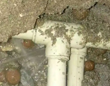 集美测漏水多少钱