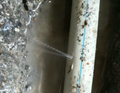 集美测漏水哪家好