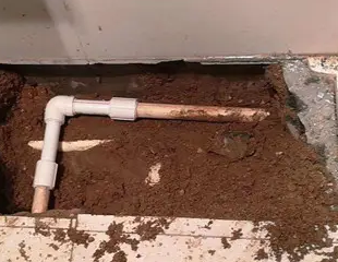 集美测漏水哪家好