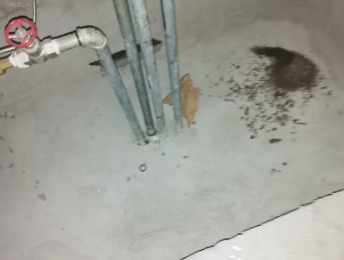 集美卫生间测漏水价格明细