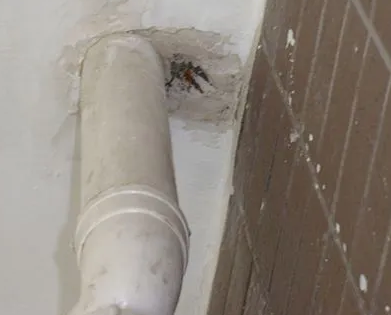 集美漏水检测哪家好